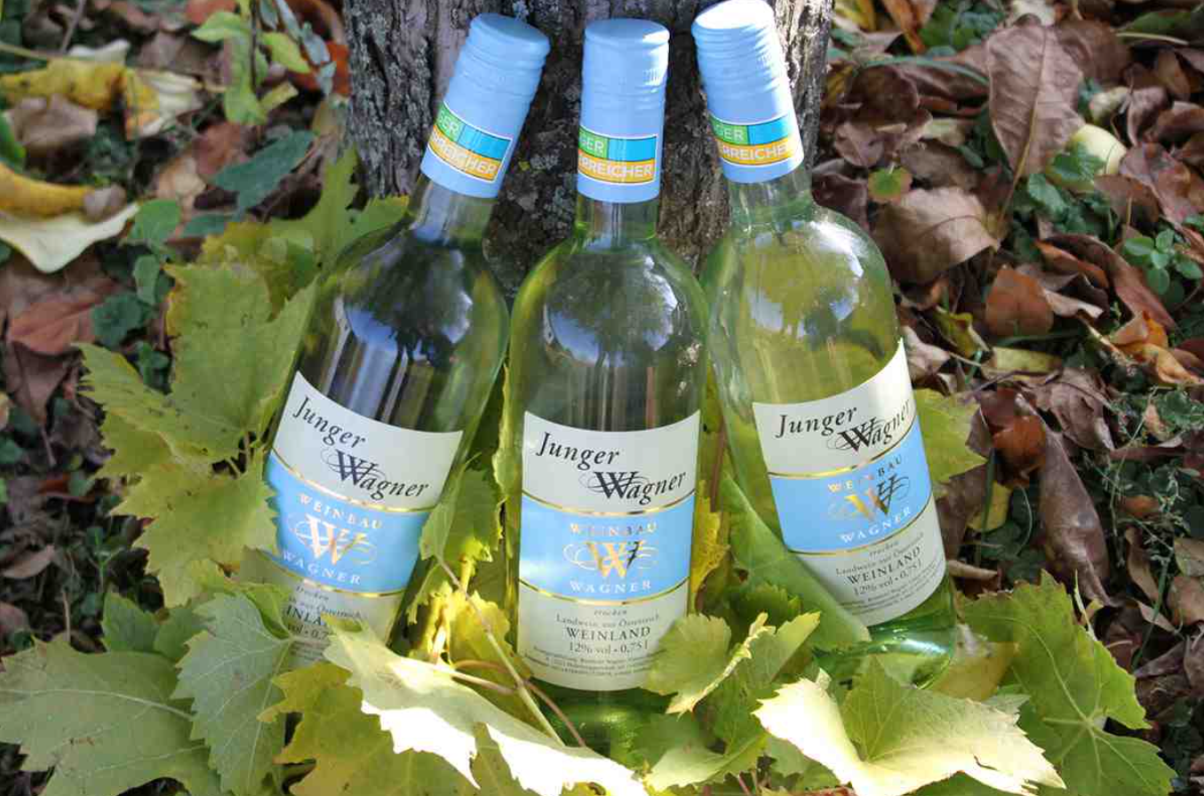 Weinbau Wagner