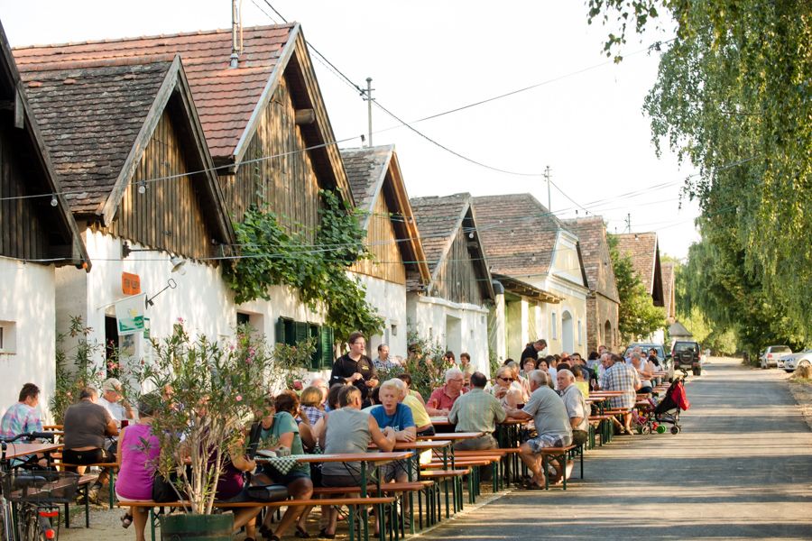 BIO Weinbau Müllner