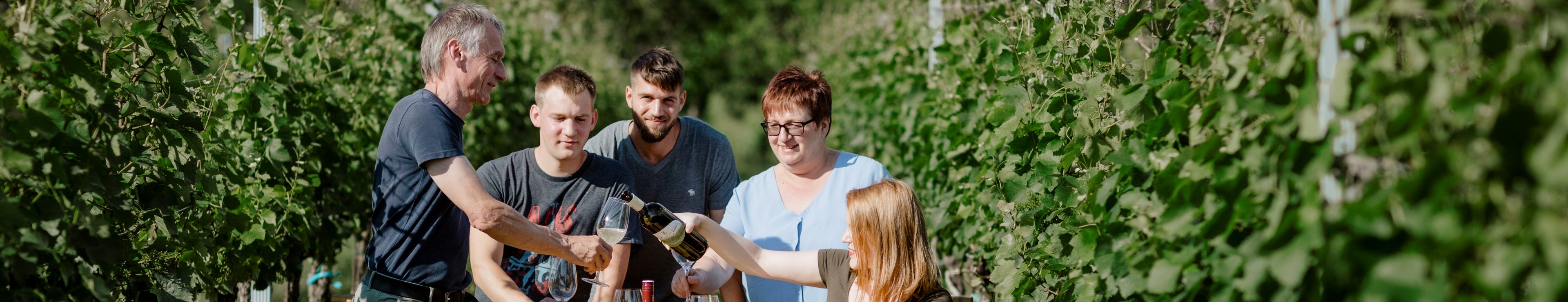 Hofer H u M Bio Wein